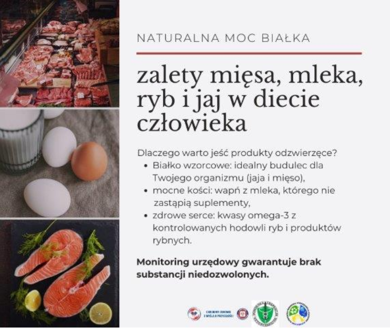 naturalność białka - zalety mięsa, mleka, ryb i jaj w diecie człowieka